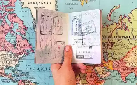 Viajar é um privilégio.